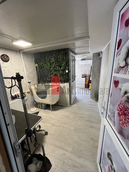 Chiajna apartament 3 camere cu terasa si curte, spatiu  comercial, loc parcare
