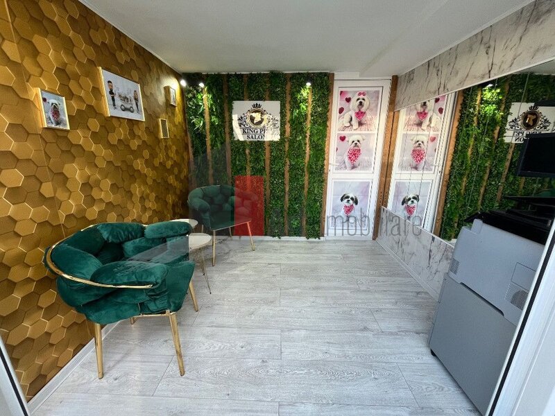 Chiajna apartament 3 camere cu terasa si curte, spatiu  comercial, loc parcare